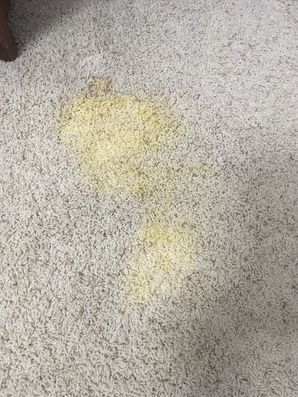 Before & After Carpet Stain Removal in Oak Park, IL (1)
