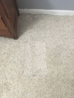 Before & After Carpet Stain Removal in Oak Park, IL (2)