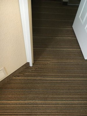 True Eco Dry LLC Carpet cleaning