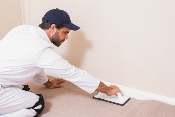 Carpet Stretching in South Suburban by True Eco Dry LLC