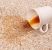 Villa Park Carpet Stain Removal by True Eco Dry LLC