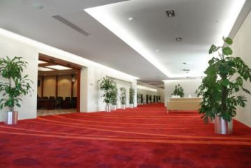Commercial carpet cleaning in Chicago, IL