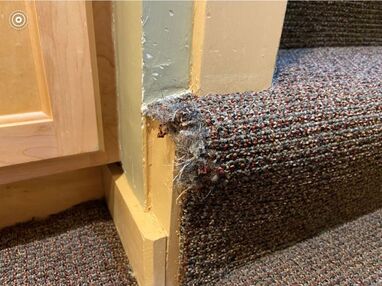 Before and After Carpet Repair in Oak Park, IL (1)