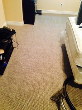 Carpet Cleaning in Chicago, IL
