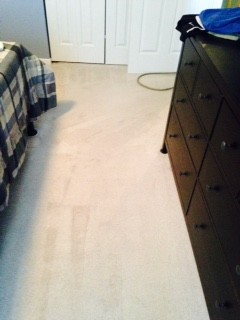 Carpet Cleaning, not cleaned in 3 years, traffic lanes and stains were present. Carpet was steam cleaned using our powerful eco-products to bring it back to a presentable condition Chicago, IL 