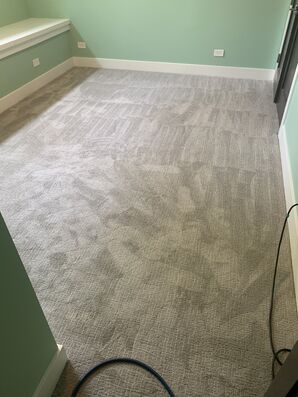 True Eco Dry LLC Carpet cleaning
