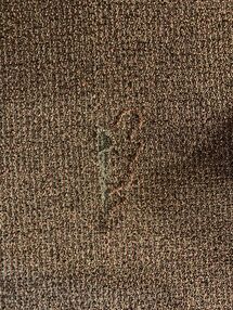 Before & After Carpet Repair from Pet Damage in Oak Park, IL (1)