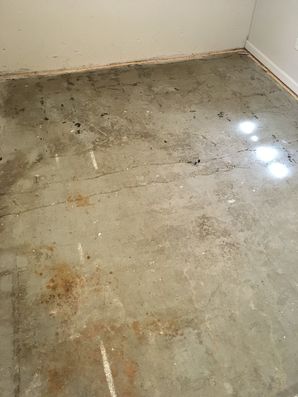 Before & After Water Damage Carpet Repair in Villa Park, IL (2)