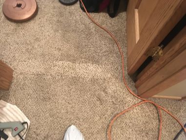 Before & After Pet Damage Carpet Repair in North Riverside, IL (2)