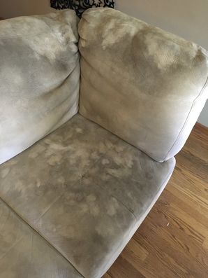 Before & After Pet Stain Removal from Upholstery in Oak Park, IL (1)