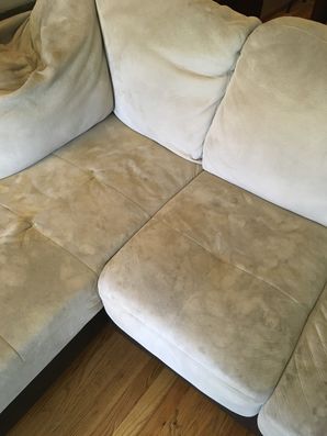 Before & After Pet Stain Removal from Upholstery in Oak Park, IL (5)