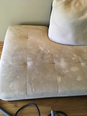 Before & After Pet Stain Removal from Upholstery in Oak Park, IL (3)
