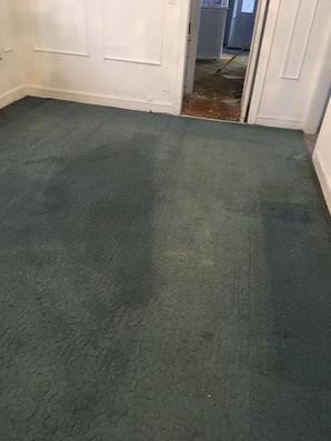 Before & After Carpet Dye Restoration in Chicago, IL (1)