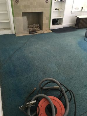 Before & After Carpet Dye Restoration in Chicago, IL (4)
