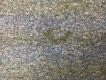 Burn Damage Repair Carpet Burr Ridge IL