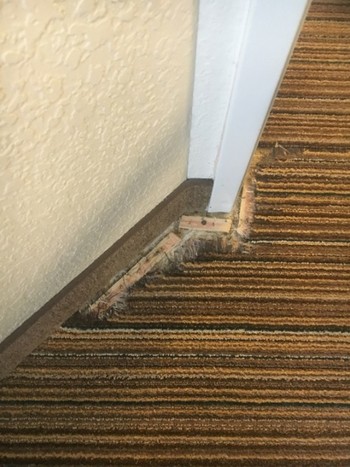 Carpet Repair Oak Brook, IL