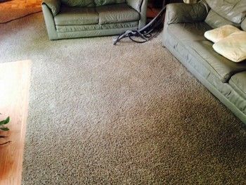 Soiled carpet in living room, traffic lanes present, last cleaned a year ago. Our powerful eco-precondition was used to remove stains permanently. 
