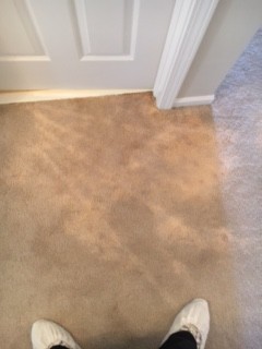  Before Bleach Stains - Carpet was re-dyed to correct bleach damage in Gurnee IL