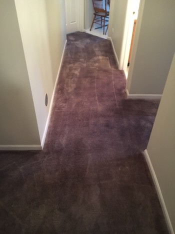 Before Bleach Stains - Carpet was re-dyed to correct bleach damage in Gurnee IL