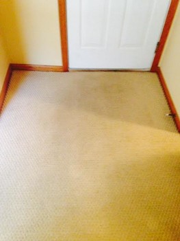 Carpet Cleaning in Aurora, IL