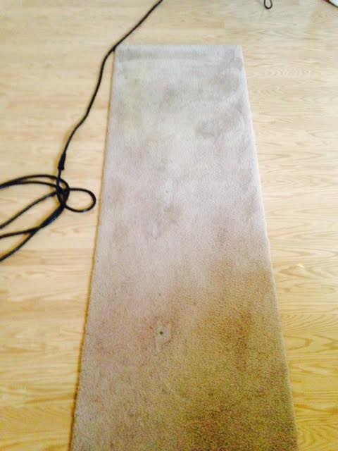 Soiled runner, spots and stains present, not cleaned in 18 months. Eco-precondition was used along with agitation. Chicago, IL