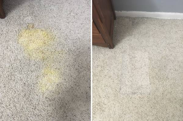 Carpet with coffee stain.